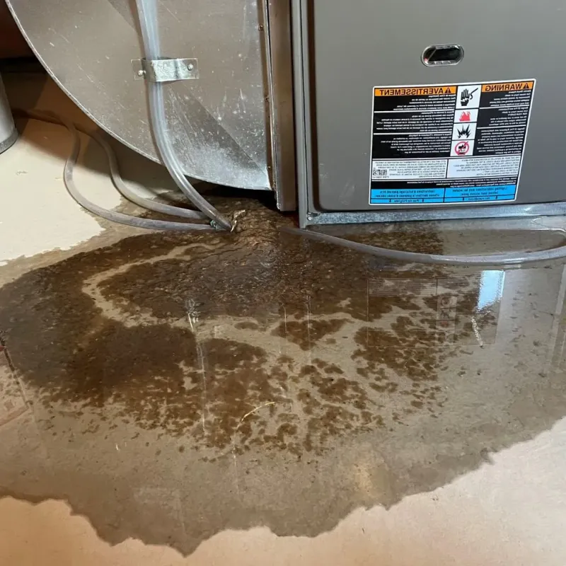 Pipe Burst and Leak Restoration in Cornersville, TN